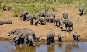 6th largest National Park in Tz